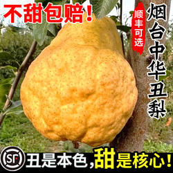 烟台中华丑梨5斤山东莱阳佛手太婆大头梨新鲜水果当季梨子整箱