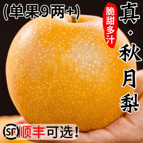 【官方推荐】正宗山东秋月梨9斤