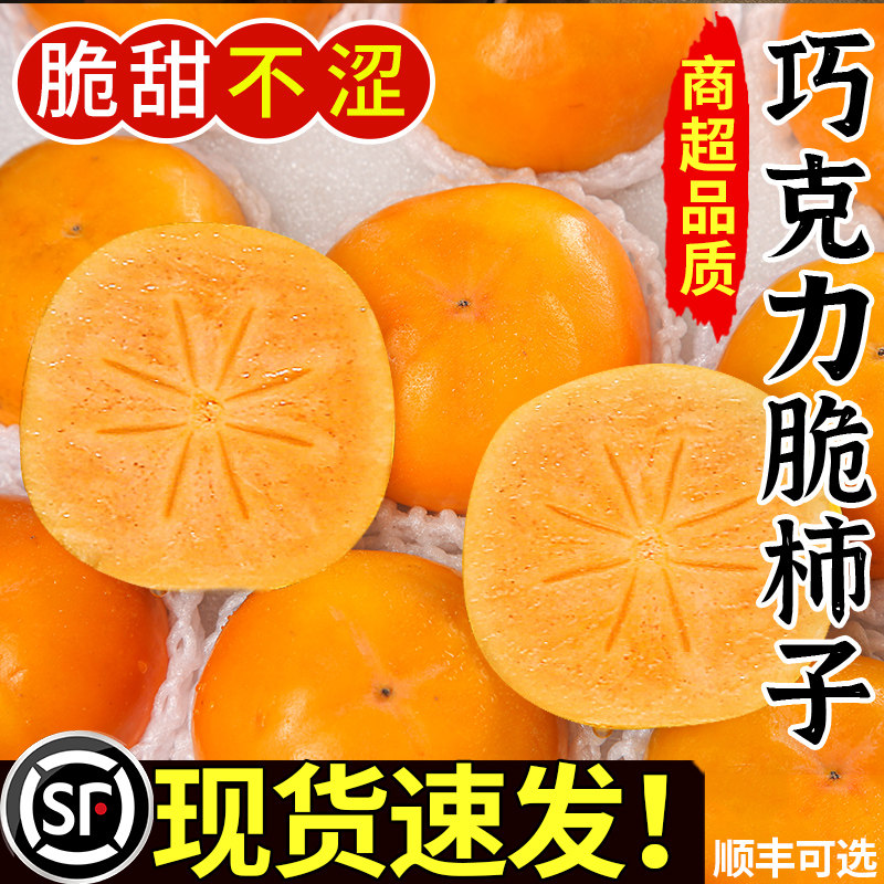 正宗巧克力脆柿子新鲜水果当应季9斤大甜柿火晶柿整箱顺丰冰糖心