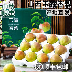 山西玉露香梨新鲜水果当季现摘顺丰脆甜梨子酥梨隰县香梨大果孕妇