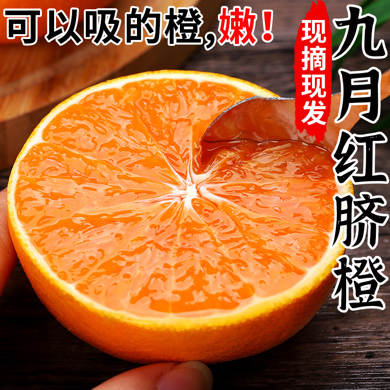 秭归九月红脐橙9斤果冻橙新鲜橙子当季水果整箱爱甜橙媛
