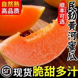 商超品质·民勤黄河蜜瓜不甜包赔