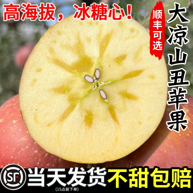 2025新鲜大凉山丑苹果冰糖心丑苹果水果当季整箱盐源四川红富脆甜