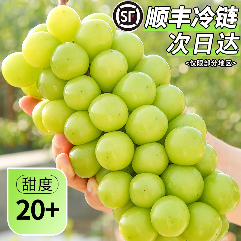 【顺丰冷链】阳光玫瑰青提