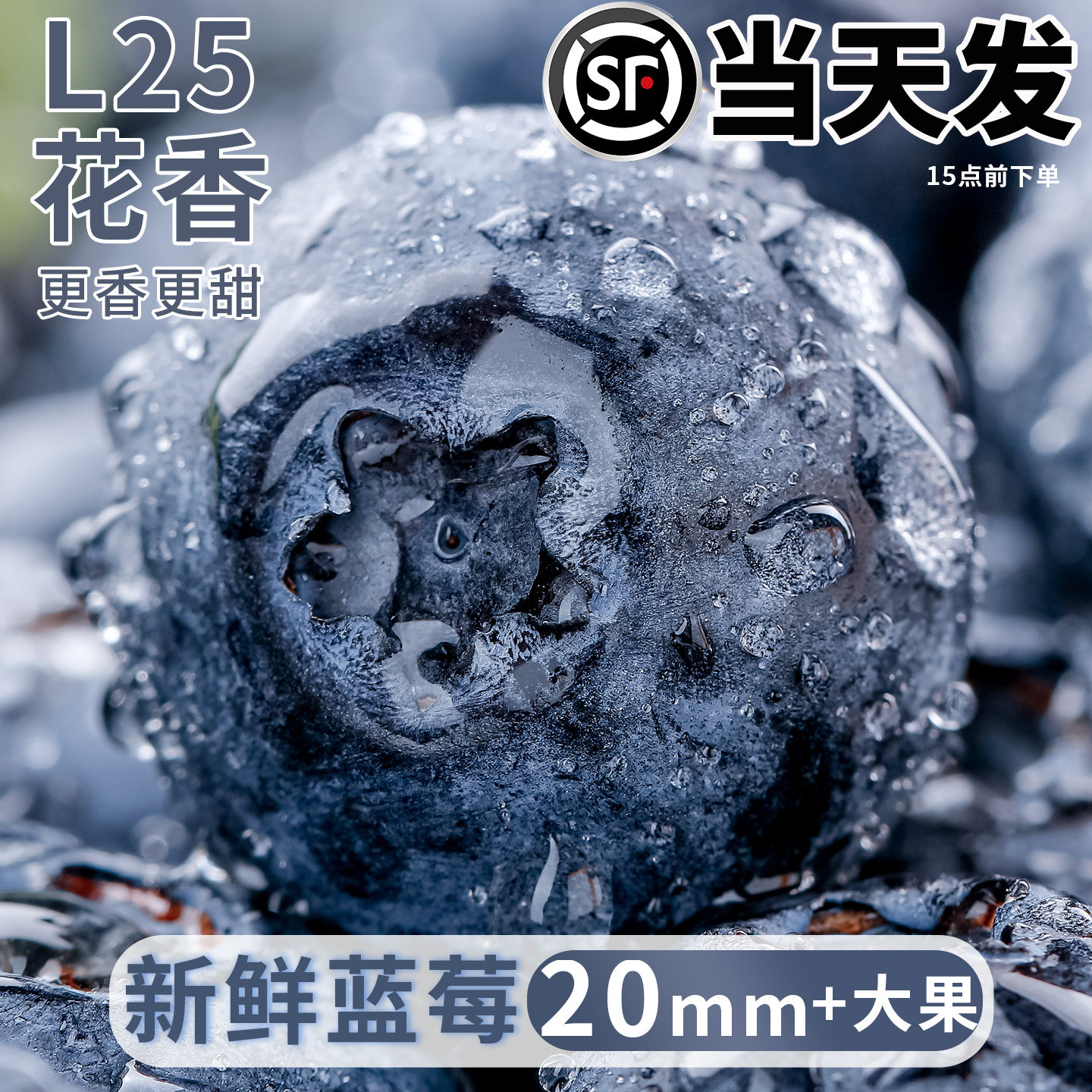 新鲜蓝莓现摘顺丰整箱当季精品水果怡颗25花香云蓝梅L南脆甜正宗