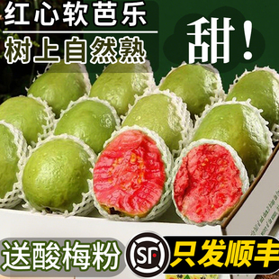 包邮 广西红心芭乐水果新鲜5斤番石榴软糯甜胭脂红巴当季 整箱顺丰