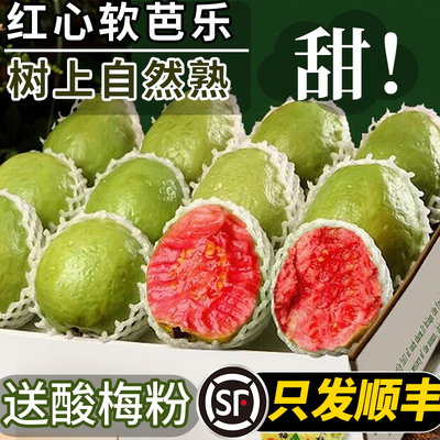 【顺丰包邮】树上熟不甜包赔