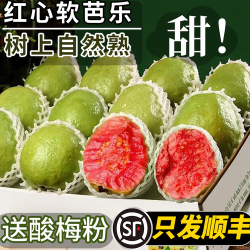 【顺丰包邮】树上熟不甜包赔