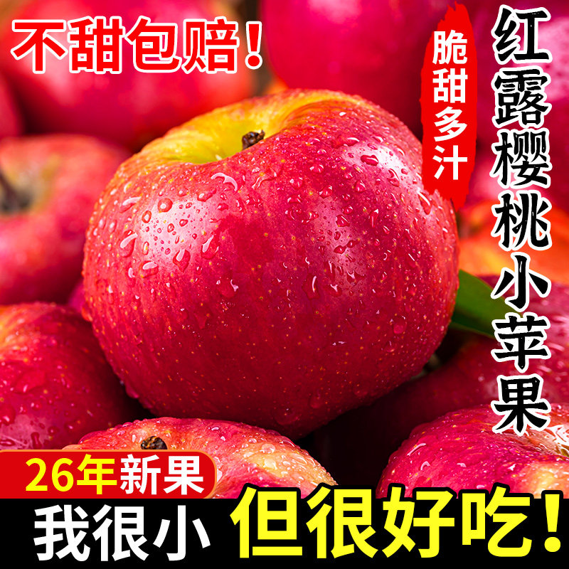 【26年新果】红露樱桃小苹果