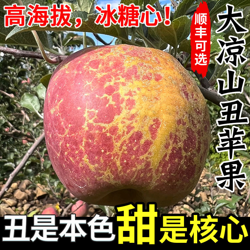 2026大凉山丑苹果冰糖心苹果新鲜水果圣诞平安果四川红富士萍果,水产肉类/新鲜蔬果/熟食,苹果,淘宝优惠券,粉丝福利购,淘宝优惠卷