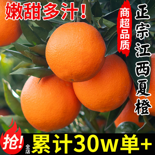 热卖30w+江西夏橙·赣南直发