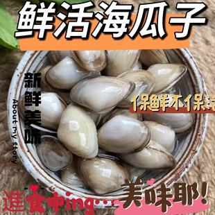 连云港水产鲜活海鲜贝类新鲜海瓜子海沙子小蛤蜊白瓜子海捕海瓜子