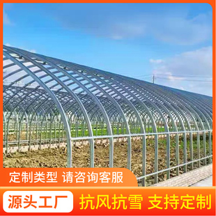 大棚骨架钢管全套蔬菜种植养殖猪牛鸡椭圆管半坡暖棚保温钢架连栋