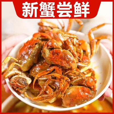 鲜活大闸蟹六月黄大闸蟹固城湖产地直发河1.7-2.8两/只10只装
