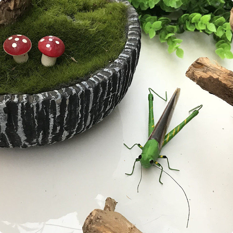 仿真昆虫 冰箱贴 教育用具 装饰品 标本 磁铁 场景布置 蚂蚱 蚱蜢