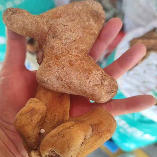 野生黄精中药材 非九蒸九晒黄精中药材 干黄精干的2斤 生黄精个子