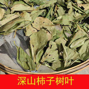 深山野生柿子树叶子中药材250克 柿子叶茶 霜后柿子叶粉 整片大叶