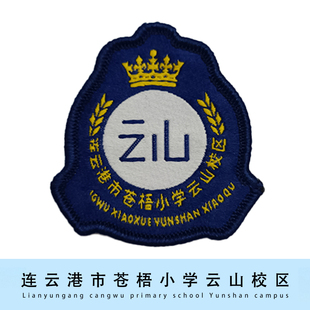 【现货】连云港市苍梧小学云山校区校徽校标徽章可定制