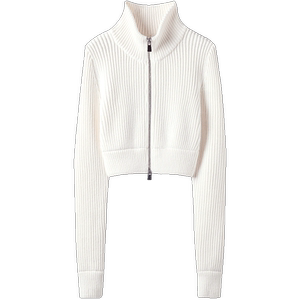 气质穿搭~100%纯山羊绒高领拉链短款针织上衣开衫女2024春新款