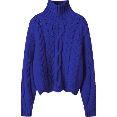 冬凤凰高端100%纯山羊绒衫