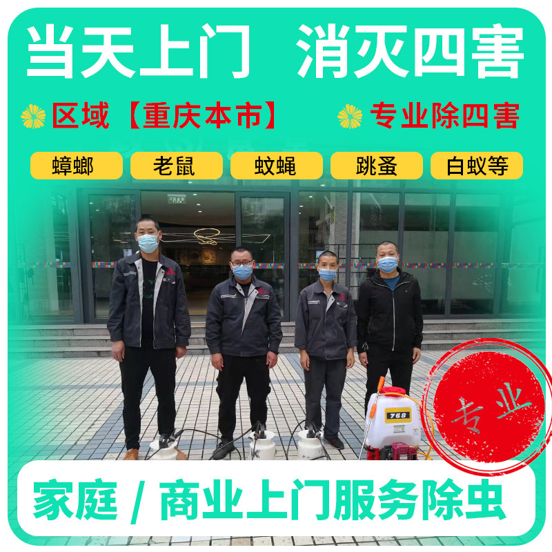 重庆上门灭老鼠消杀公司专业除四害药蟑螂抓捕捉驱螨虫除白蚁消毒