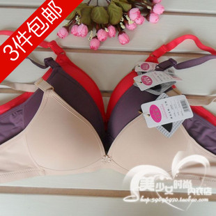 雪姬兰光面二排扣无钢圈女士内衣2826中老年妈妈柔软文胸定型胸围