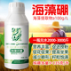 硼肥叶面肥海藻有机水溶肥微量元 素促花坐果树番茄柑橘草莓通用型