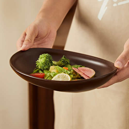 Japanese tableware, ceramic plates, household dishes, oval