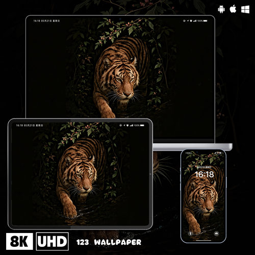 丛林猛虎高级暗调8K超清壁纸iphone苹果安卓手机电脑ipad平板壁纸