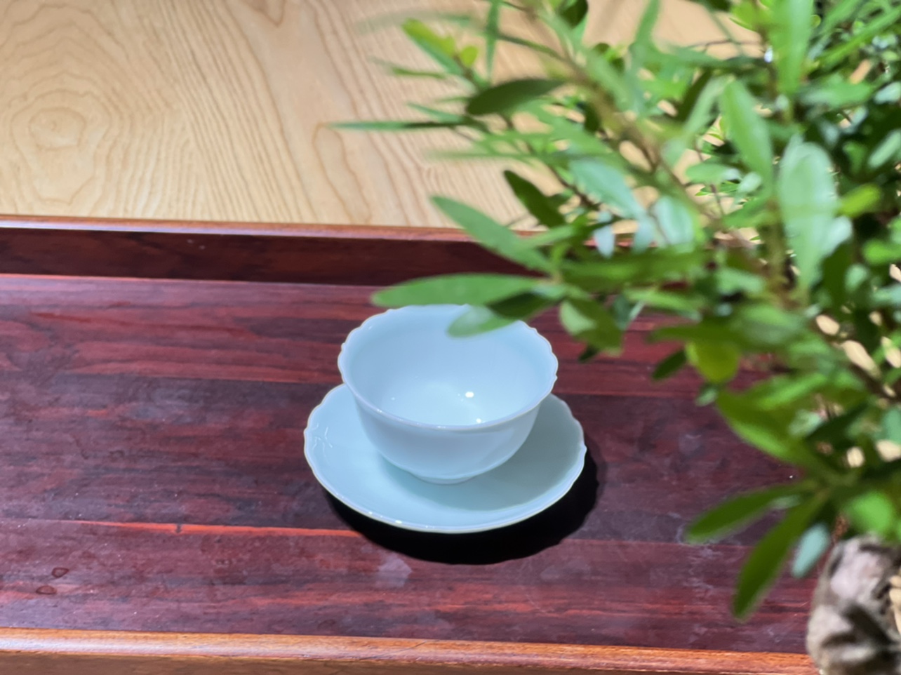 京德茶器贵和祥纯手工制作豆青杯托组纯色中式茶杯品茗杯主人杯