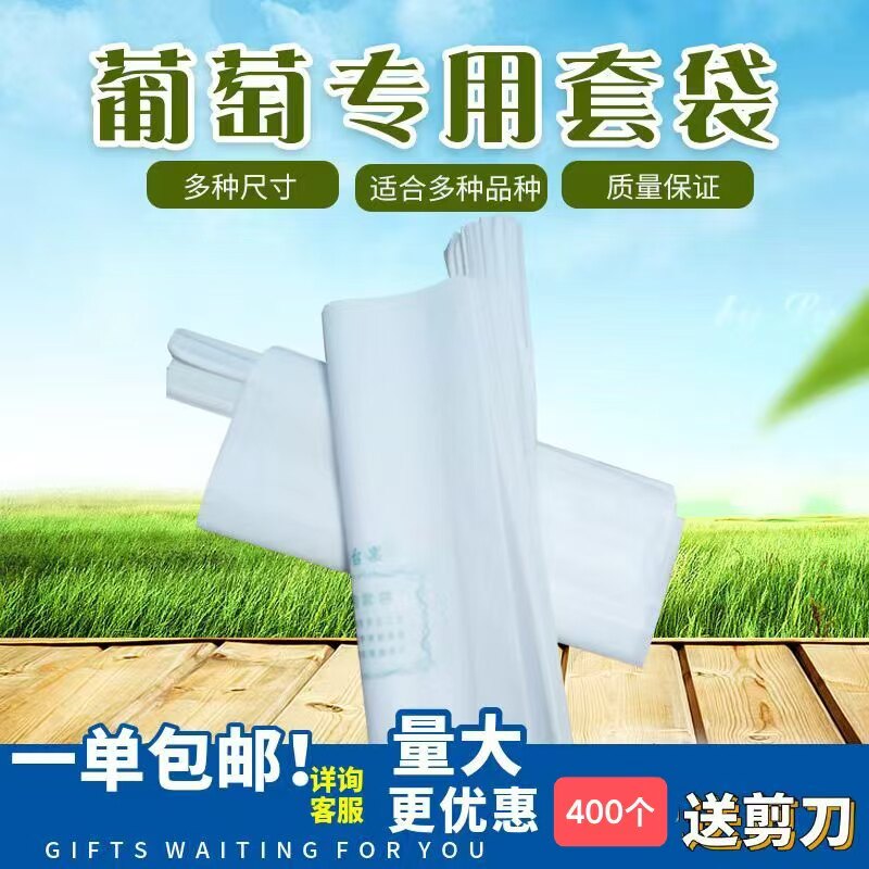 葡萄套袋杨桃莲雾火龙果枇杷荔枝