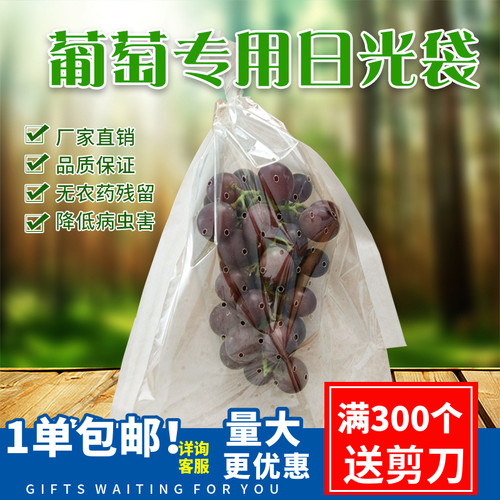 葡萄套袋火龙果莲雾石榴荔枝专用套袋日光袋育果袋保鲜袋 - 封面
