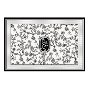 洛美丹顿入门地垫可擦免洗进门垫子家用耐脏皮革脚垫美式觅花园