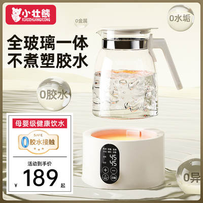 小壮熊全玻璃恒温水壶一体纯玻璃