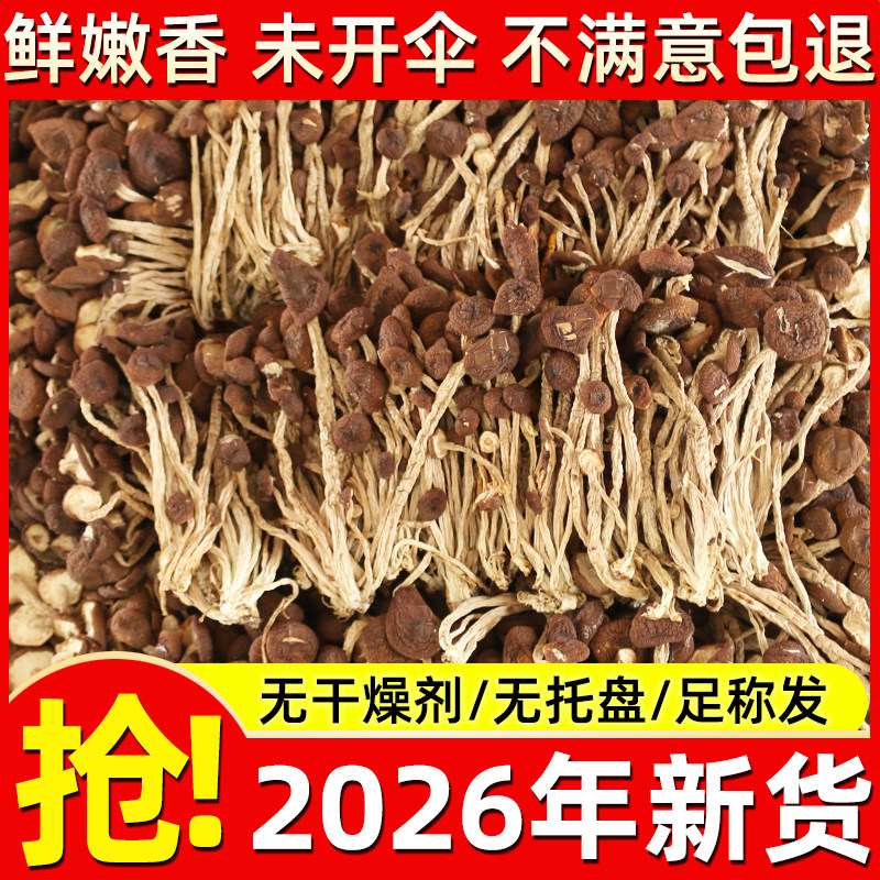 江西特产野生茶树菇干货旗舰店香菇蘑菇虫草花菌菇类煲汤食材大全