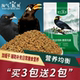 淘气宝贝 精品鹩哥八哥鸟食饲料 鹩哥八哥专用营养食粮鸟料鸟饲料