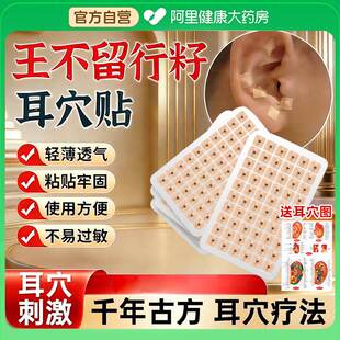 王不留行籽耳穴贴中医穴位压力刺激防敏磁珠耳豆压丸理疗模型耳针