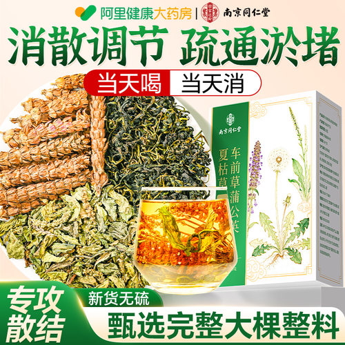 同仁堂蒲公英夏枯草车前草消散茶