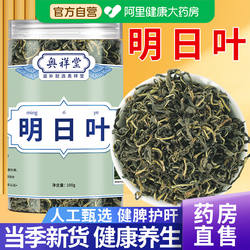 正宗明日叶茶不老草茎叶茶长寿草代茶饮当季新茶泡水喝官方旗舰店