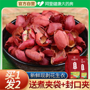 北京同仁堂养庆堂花生衣红皮血小板五红汤红花生衣皮正品 红衣花生