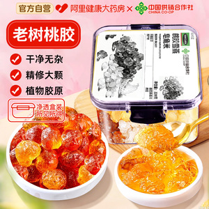 桃胶正品云南天然桃花泪雪燕皂角米新货野生组合搭银耳老树桃胶