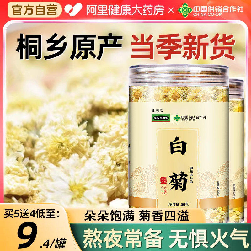 白菊官方店特优级正品菊花茶浙江桐乡雪热销旗舰店雪菊青肝去火茶