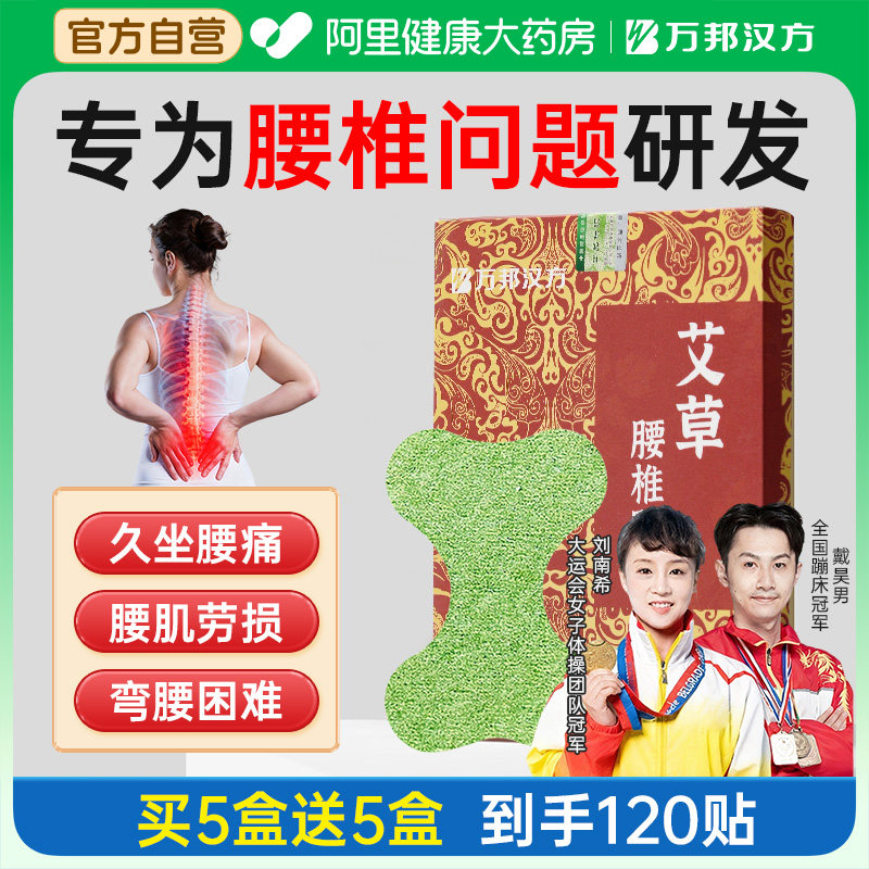 艾灸贴全身艾灸万邦汉方0.5/片图片