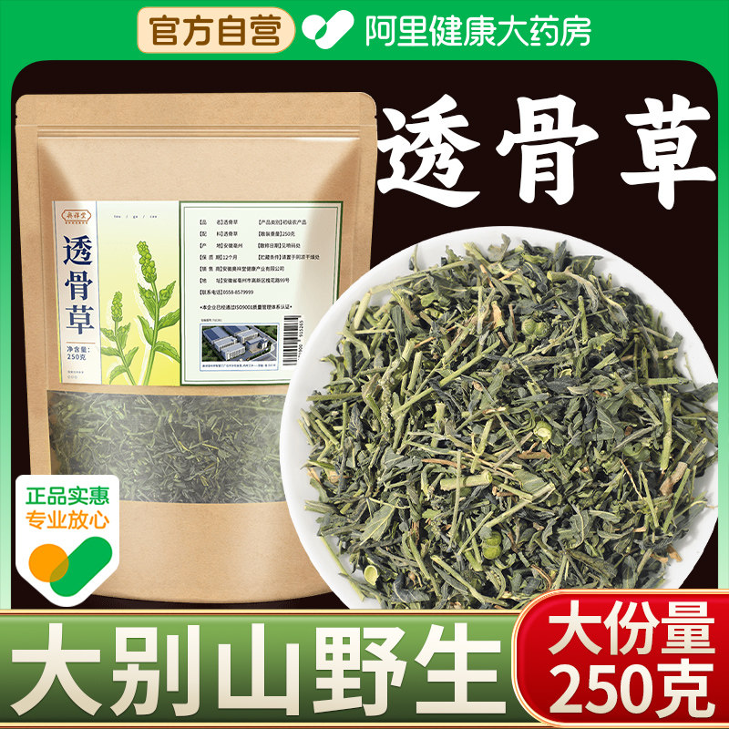 正品透骨草中草药材野生透骨草新货泡水喝珍珠透骨草伸筋草可泡脚