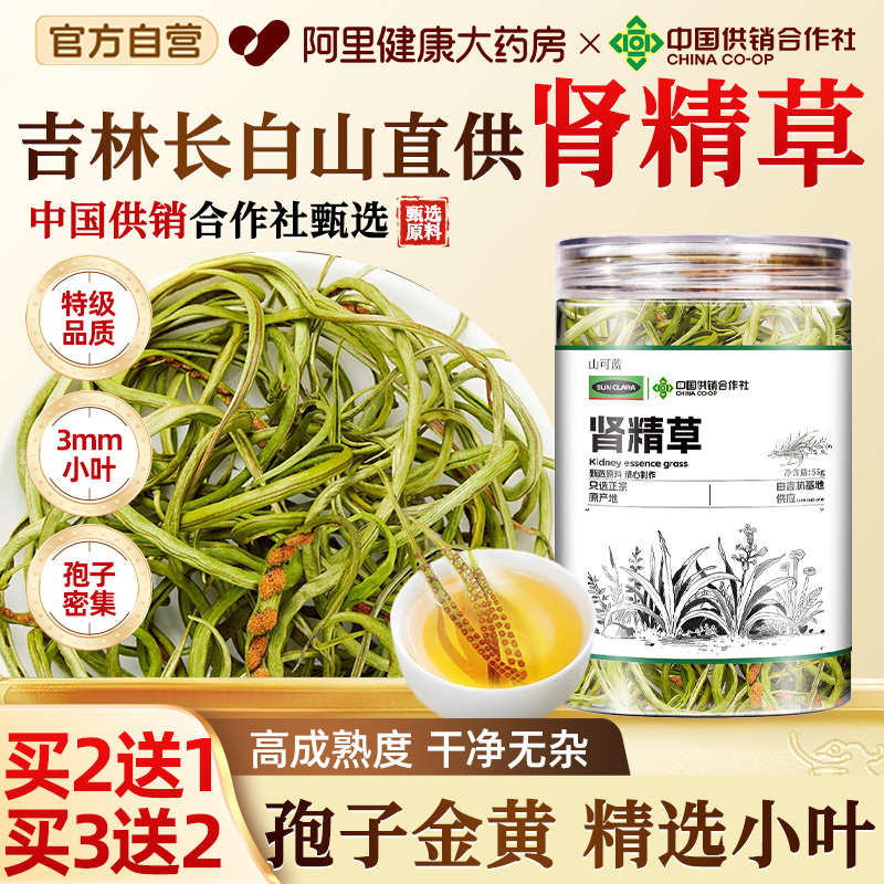 长白山肾精草茶黄金草嗷嗷叫