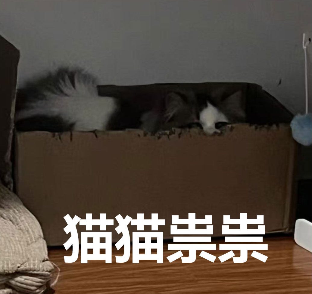 益生菌蛋白质粉增肥增胖快速长肉瘦子增重食品丸男女性儿童旗舰店,传统滋补营养品,其他药食同源食品,淘宝优惠券,粉丝福利购,淘宝优惠卷