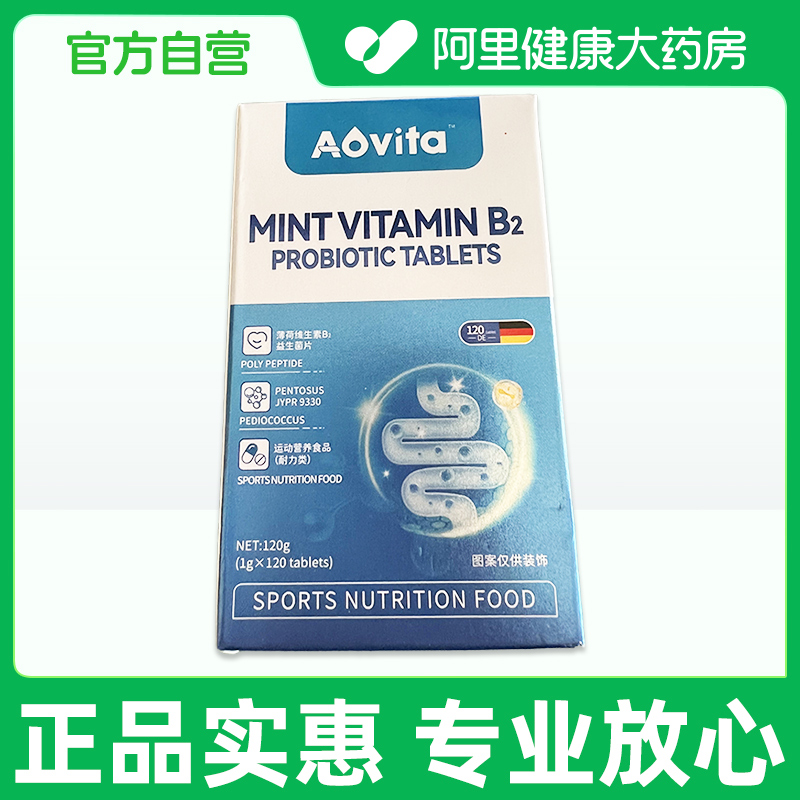 仙艾薄荷维生素B2益生菌片120g(1gx120片)