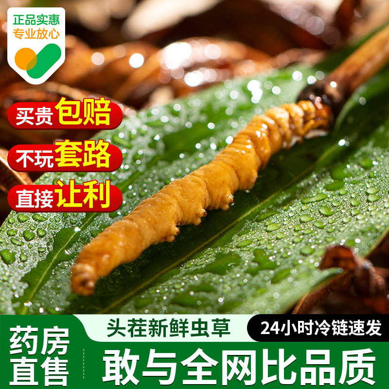 睿生堂2026年头茬新鲜冬虫夏草官方旗舰店鲜虫草送父母长辈礼盒装