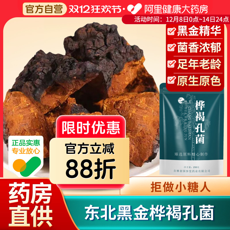 桦树茸白桦茸桦褐孔菌东北长白山黑金颗粒桦树块官方正品养生茶