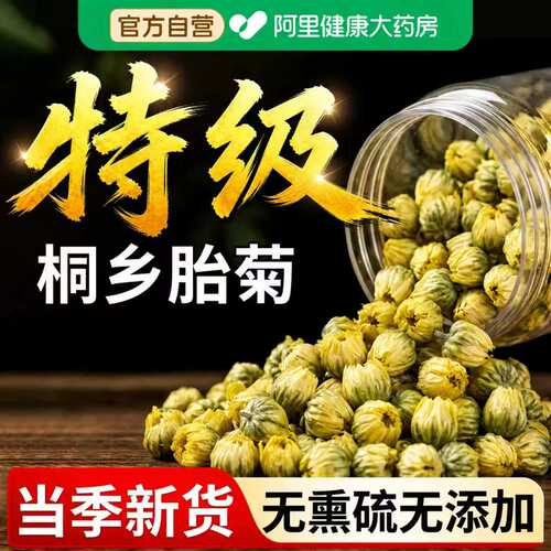 【特级品质】桐乡胎菊清热降火